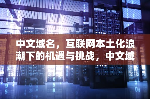 中文域名，互联网本土化浪潮下的机遇与挑战，中文域名的网站备案
