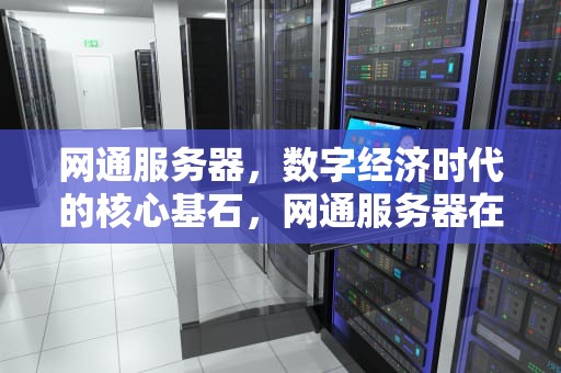 网通服务器，数字经济时代的核心基石，网通服务器在哪