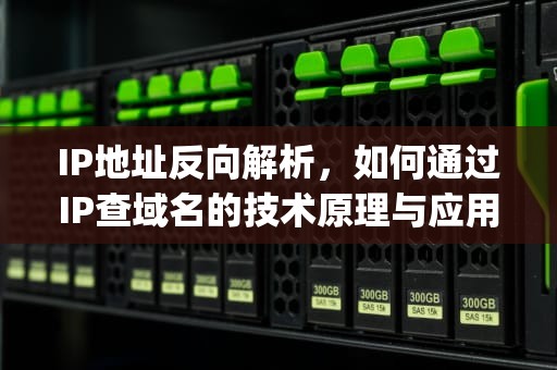 IP地址反向解析，如何通过IP查域名的技术原理与应用实践，ip反查域名网站