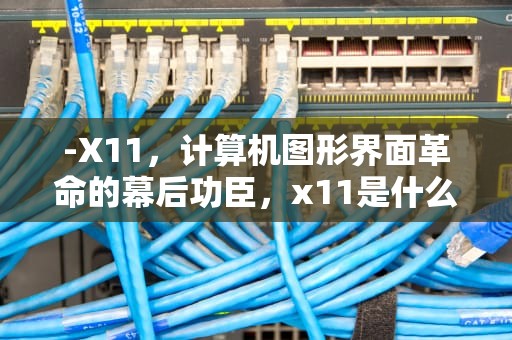 -X11，计算机图形界面革命的幕后功臣，x11是什么店