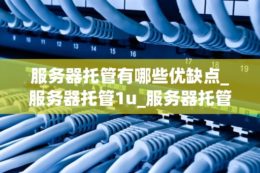 服务器托管有哪些优缺点_服务器托管1u_服务器托管的优缺点分析