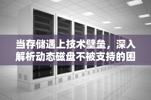 当存储遇上技术壁垒，深入解析动态磁盘不被支持的困境与应对方案，不支持动态磁盘怎么办
