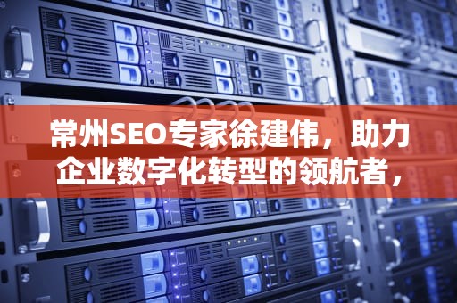 常州SEO专家徐建伟，助力企业数字化转型的领航者，江苏常州徐建伟