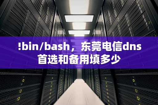 !bin/bash，东莞电信dns首选和备用填多少