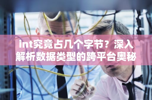 int究竟占几个字节？深入解析数据类型的跨平台奥秘，int占几个字节数