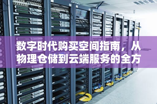 数字时代购买空间指南，从物理仓储到云端服务的全方位解析，购买空间服务器