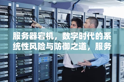 服务器宕机，数字时代的系统性风险与防御之道，服务器宕机是什么意思