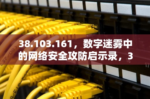 38.103.161，数字迷雾中的网络安全攻防启示录，38.103.161 143