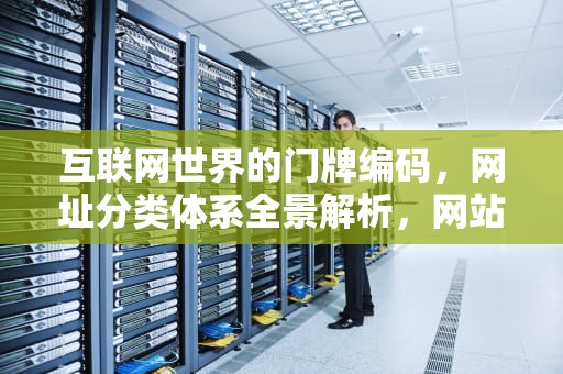 互联网世界的门牌编码，网址分类体系全景解析，网站 分类