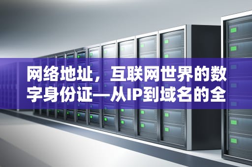 网络地址，互联网世界的数字身份证—从IP到域名的全面解析，网络地址是什么意思