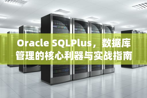 Oracle SQLPlus，数据库管理的核心利器与实战指南，oracle sqlplus 连接数据库