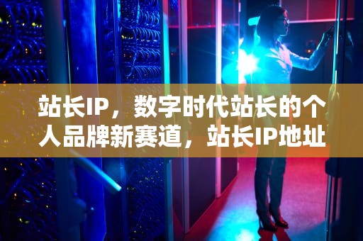 站长IP，数字时代站长的个人品牌新赛道，站长IP地址查询