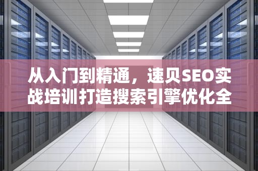 从入门到精通，速贝SEO实战培训打造搜索引擎优化全链路竞争力，速贝新媒体加盟