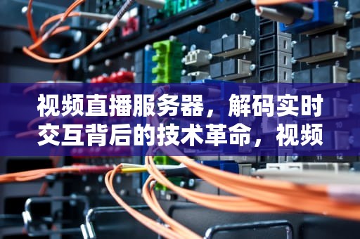 视频直播服务器，解码实时交互背后的技术革命，视频直播服务器需要多大带宽