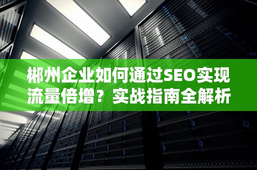 郴州企业如何通过SEO实现流量倍增？实战指南全解析，郴州网站推广