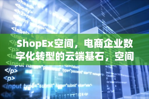 ShopEx空间，电商企业数字化转型的云端基石，空间space