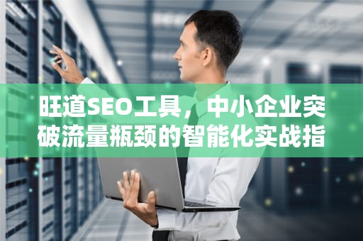 旺道SEO工具，中小企业突破流量瓶颈的智能化实战指南，旺道网站优化