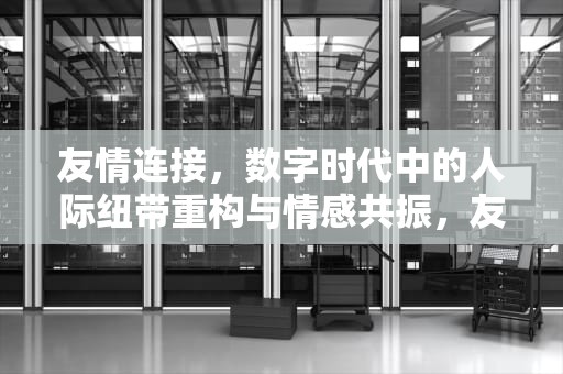 友情连接，数字时代中的人际纽带重构与情感共振，友情链接是什么意思