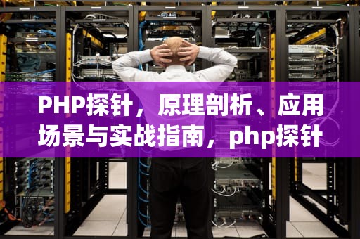 PHP探针，原理剖析、应用场景与实战指南，php探针怎么用