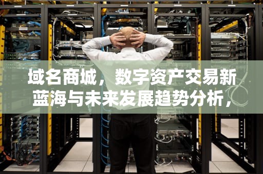域名商城，数字资产交易新蓝海与未来发展趋势分析，域名商城网