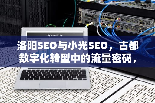 洛阳SEO与小光SEO，古都数字化转型中的流量密码，洛阳师范学院