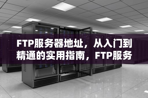 FTP服务器地址，从入门到精通的实用指南，FTP服务器地址