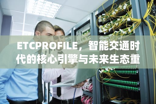 ETCPROFILE，智能交通时代的核心引擎与未来生态重构，etcprofile无法打开并写入文件