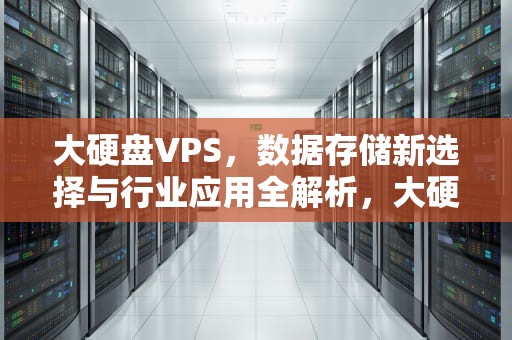 大硬盘VPS，数据存储新选择与行业应用全解析，大硬盘VPS