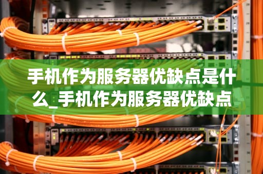 手机作为服务器优缺点是什么_手机作为服务器优缺点是什么样的_手机作为服务器的优缺点分析