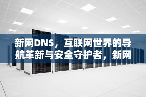 新网DNS，互联网世界的导航革新与安全守护者，新网DNS不让使用IP