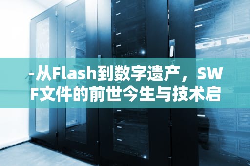 -从Flash到数字遗产，SWF文件的前世今生与技术启示，swf文件如何打开