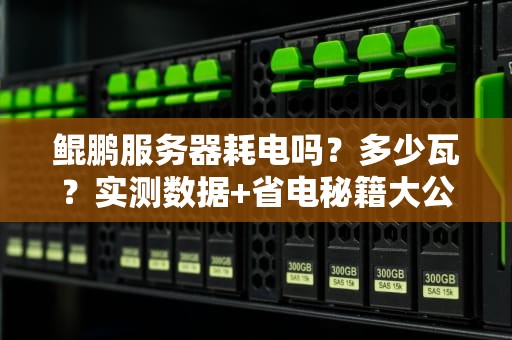 鲲鹏服务器耗电吗？多少瓦？实测数据+省电秘籍大公开！