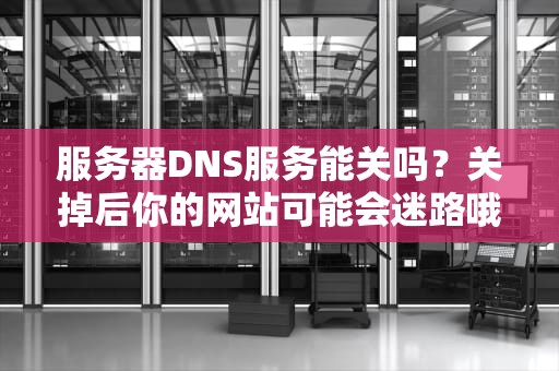 服务器DNS服务能关吗？关掉后你的网站可能会迷路哦！