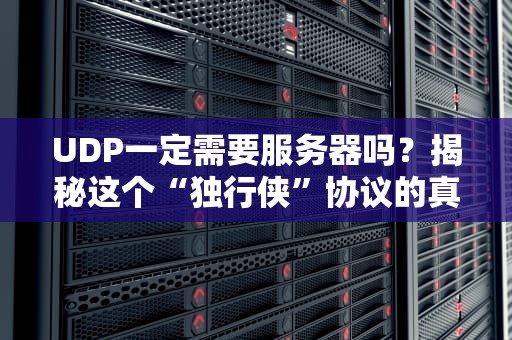 UDP一定需要服务器吗？揭秘这个“独行侠”协议的真面目！