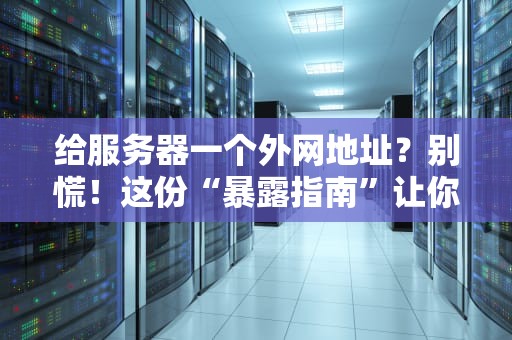 给服务器一个外网地址？别慌！这份“暴露指南”让你秒懂内网穿透与公网IP的骚操作