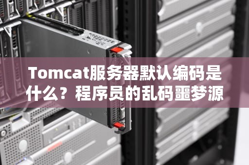 Tomcat服务器默认编码是什么？程序员的乱码噩梦源头探秘
