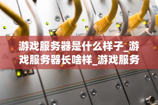 游戏服务器是什么样子_游戏服务器长啥样_游戏服务器的奥秘：从基础到高级