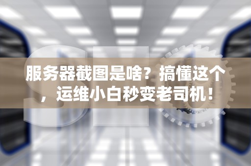 服务器截图是啥？搞懂这个，运维小白秒变老司机！