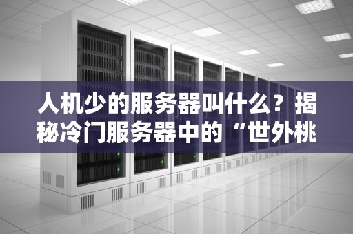 人机少的服务器叫什么？揭秘冷门服务器中的“世外桃源”