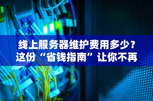 线上服务器维护费用多少？这份“省钱指南”让你不再被坑！
