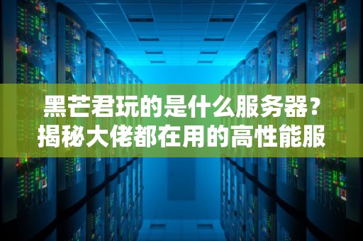 黑芒君玩的是什么服务器？揭秘大佬都在用的高性能服务器配置！