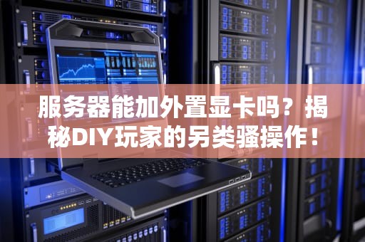 服务器能加外置显卡吗？揭秘DIY玩家的另类骚操作！