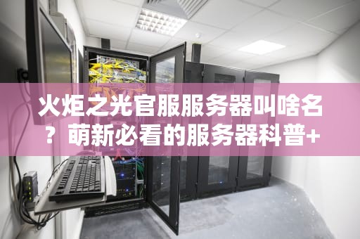 火炬之光官服服务器叫啥名？萌新必看的服务器科普+爆笑测评！