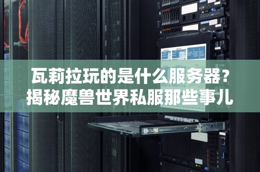 瓦莉拉玩的是什么服务器？揭秘魔兽世界私服那些事儿！