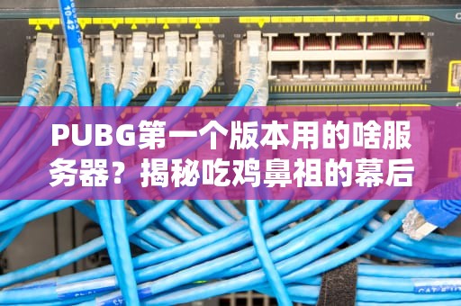 PUBG第一个版本用的啥服务器？揭秘吃鸡鼻祖的幕后黑手！