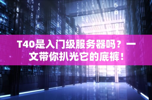 T40是入门级服务器吗？一文带你扒光它的底裤！