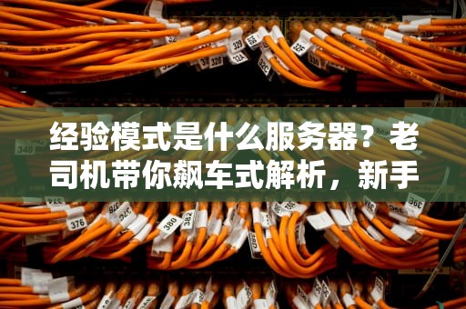 经验模式是什么服务器？老司机带你飙车式解析，新手秒变大神！