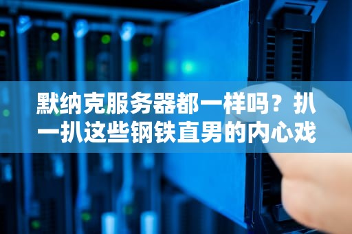 默纳克服务器都一样吗？扒一扒这些钢铁直男的内心戏！