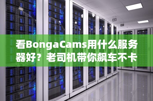 看BongaCams用什么服务器好？老司机带你飙车不卡顿！