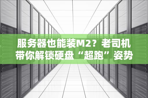 服务器也能装M2？老司机带你解锁硬盘“超跑”姿势！